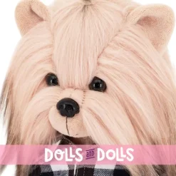Poupée Lucky Doggy 37 cm - Lucky Andy - Homme de style